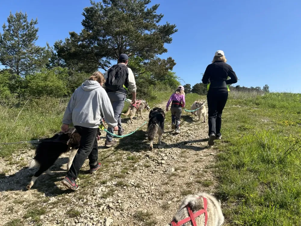 Balade chien près de Herbouilly